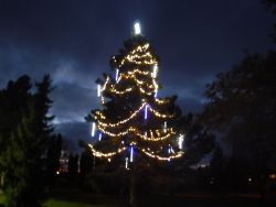 Rozsvícení vánočního stromu  